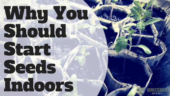 Why Start Seeds Indoors?