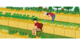 Straw Bale Gardening (Inforgraphic)