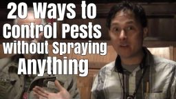 20 Ways to Control Your Pests Without Spraying Anything (Video)