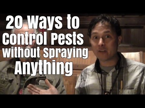 20 Ways to Control Your Pests Without Spraying Anything (Video)