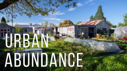 Urban Homestead