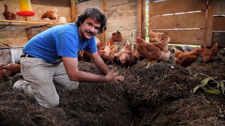 Composting Chicken House (Video)