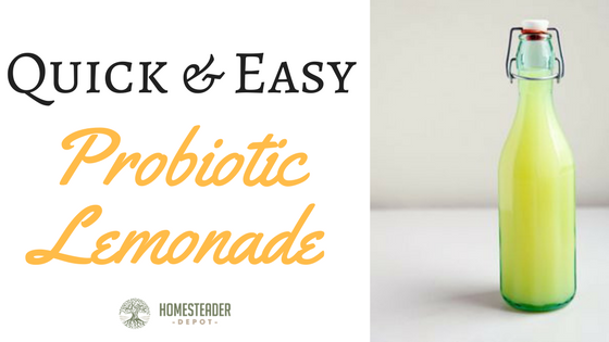 Quick and Easy Probiotic Lemonade