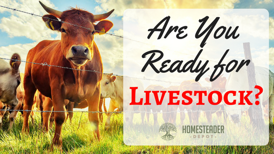 Are You Ready for Livestock?