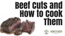 Beef Cuts and How to Cook Them (Infographic)