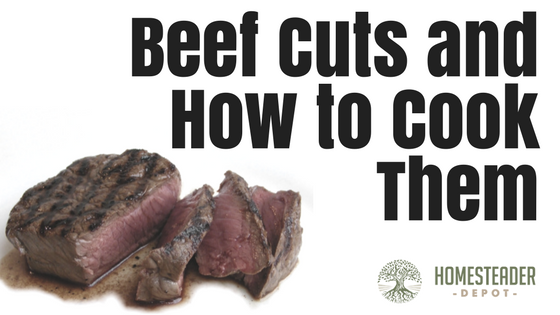 Beef Cuts and How to Cook Them (Infographic)