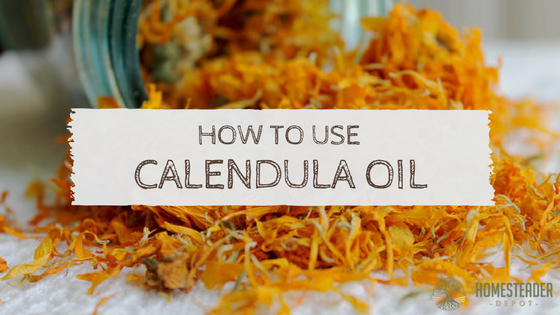 How to Use Calendula Oil