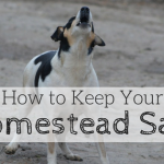 7 Simple Ways to Keep Your Homestead Safe