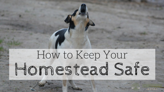 7 Simple Ways to Keep Your Homestead Safe