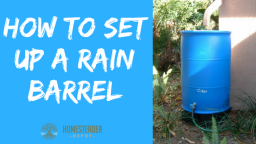 How to Set Up A Rain Barrel (Infographic)