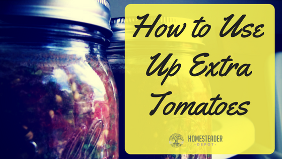How to Use Up Extra Tomatoes