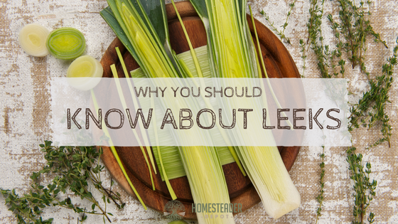 Why You Should Know About Leeks