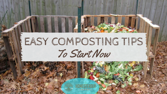 Easy Composting Tips to Start Using Now