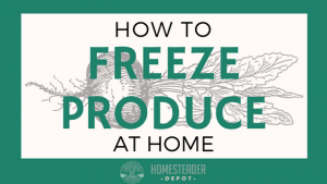 freeze produce (1)