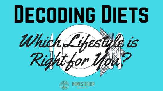 Decoding Diets: Which Lifestyle is Right for You? (Infographic)