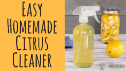 Easy and Effective All-Natural Homemade Citrus Cleaner