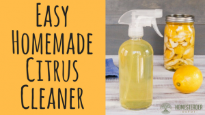 Easy Homemade Citrus Cleaner
