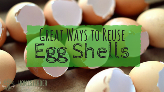 13 Useful Ways to Reuse Eggshells