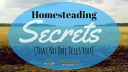 The Reality of Homesteading: What No One Tells You
