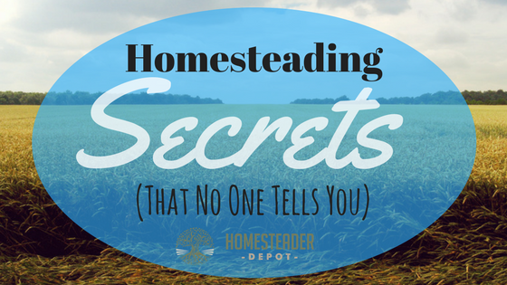The Reality of Homesteading: What No One Tells You