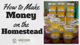 Make Money on Your Homestead