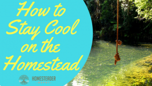 How to Stay Cool on the Homestead