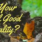 Is Your Soil Good Quality?