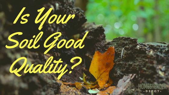 Is Your Soil Good Quality?