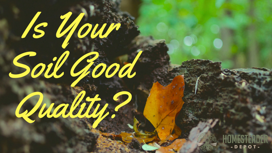 Is Your Soil Good Quality-