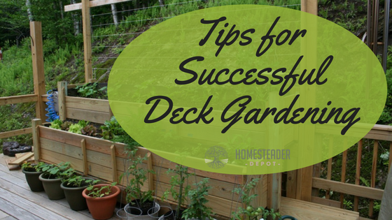 Tips for Successful Deck Gardening