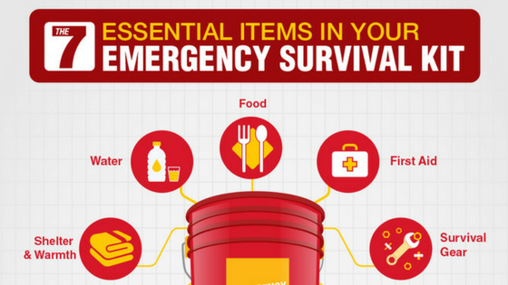 Essential Items for Your Emergency Survival Kit (Infographic)