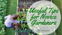 Gardening Tips From Seasoned Gardeners