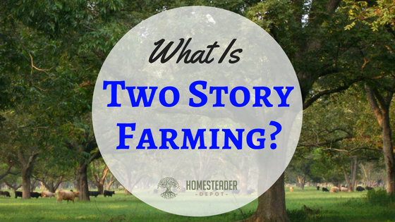 What Is Two Story Farming?