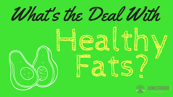 What's The Deal With Healthy Fats?