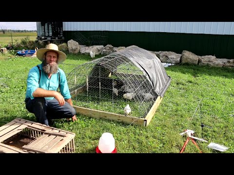 Chicken Coop for $1 and an Hour to Make (Video)