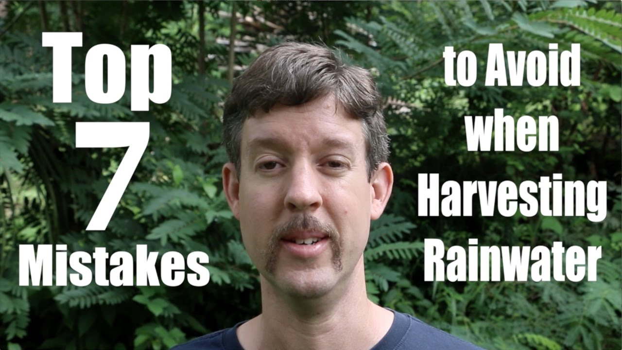 Top 7 Mistakes to Avoid When Harvesting Rainwater (Video)