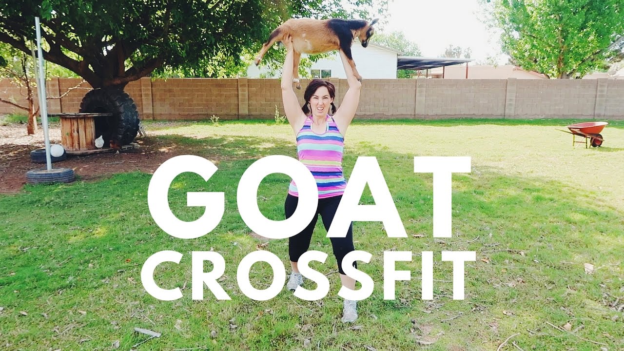 Goat Crossfit (Video)
