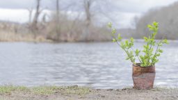 5 Creative Ways to Reuse Old Cans