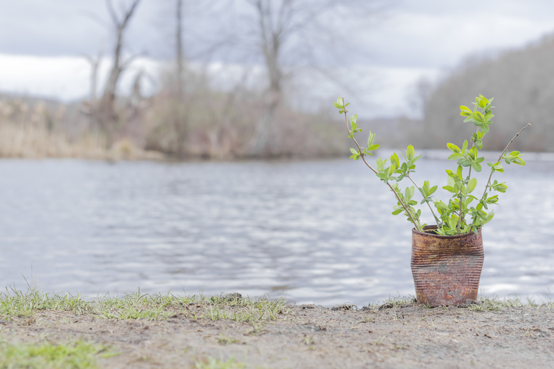 5 Creative Ways to Reuse Old Cans