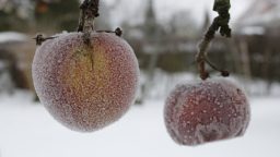 Tips to Stockpile Food for the Winter Months