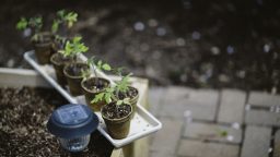 3 Basics for Starting Your Homestead