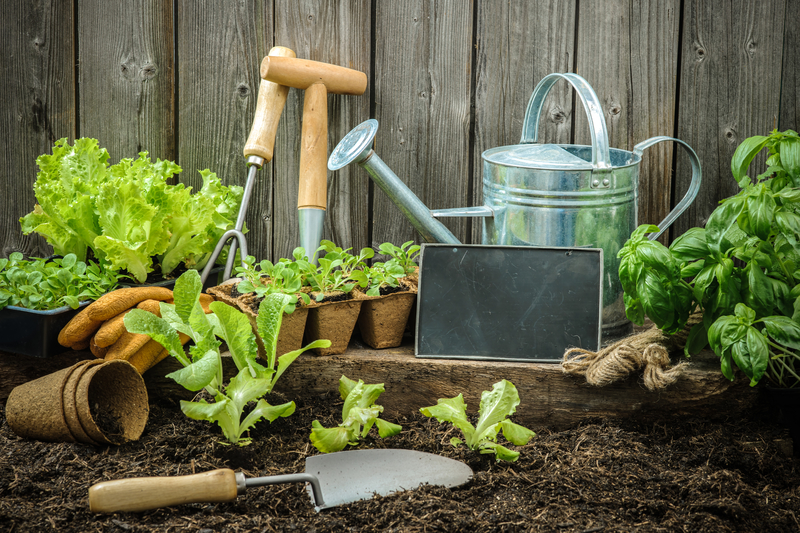 5 Gardening Budget Hacks