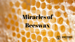 7 Little-Known Miracles of Beeswax