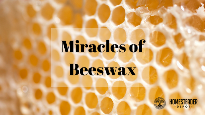 7 Little-Known Miracles of Beeswax