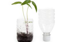 DIY Recycled Planters