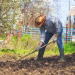 4 Critical Methods to Improve Your Garden Soil