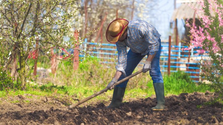 4 Critical Methods to Improve Your Garden Soil