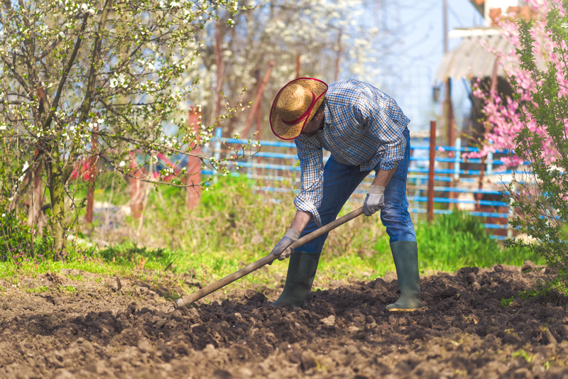 4 Critical Methods to Improve Your Garden Soil