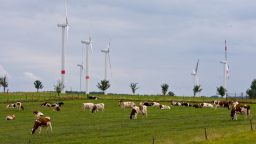 Is Grass Fed Beef Really Better Than the Alternative?
