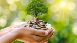 10 Simple Money Saving Tips Everyone Should Follow